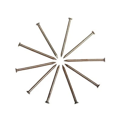 Galvanized Nails